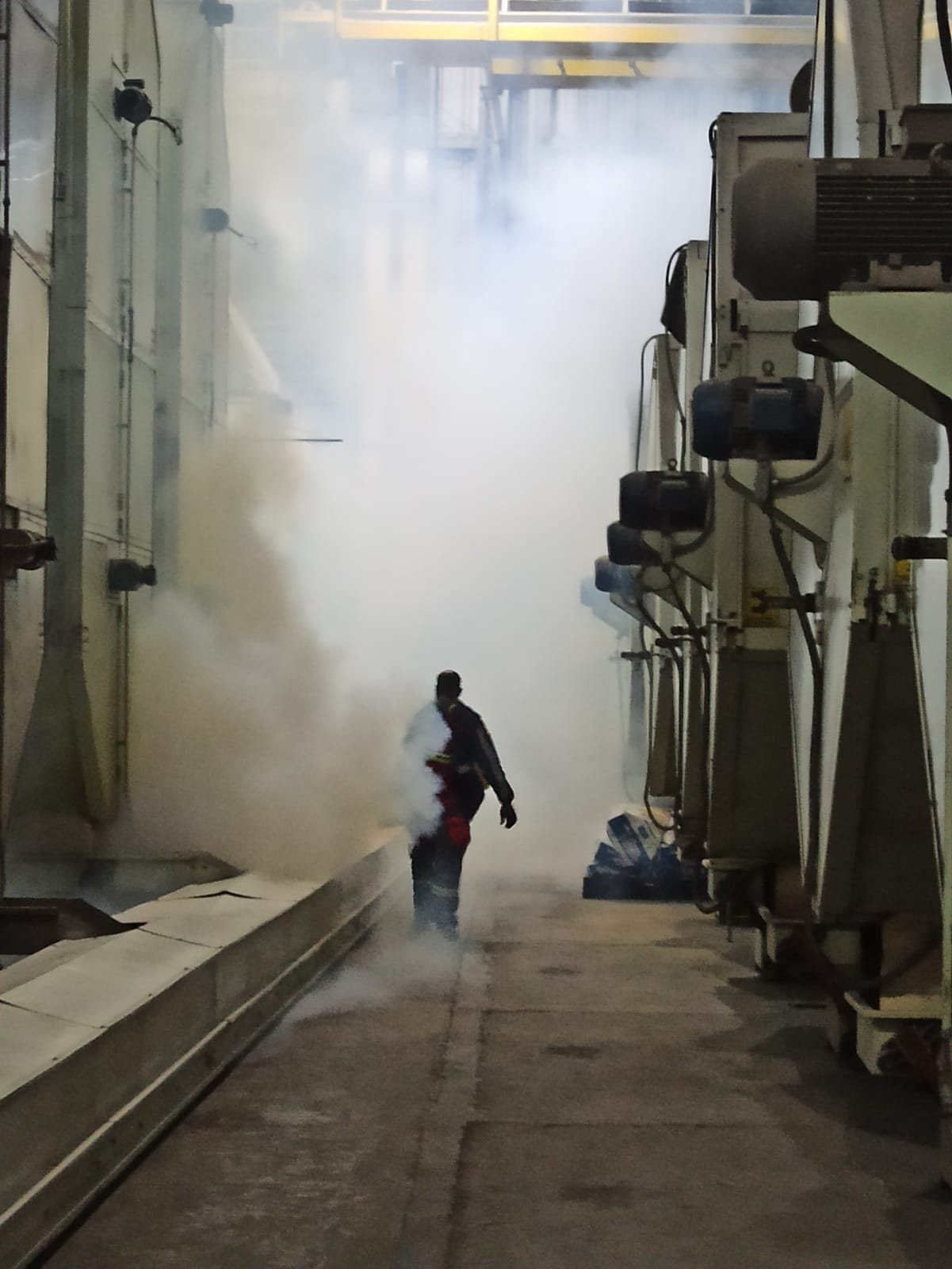 Fumigación industrial en planta